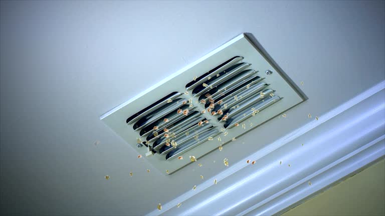 Best Dryer Vent Cleaning Services  in Luray, VA