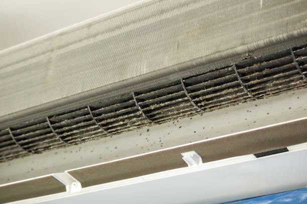 Best Professional Duct Cleaning Services  in Luray, VA