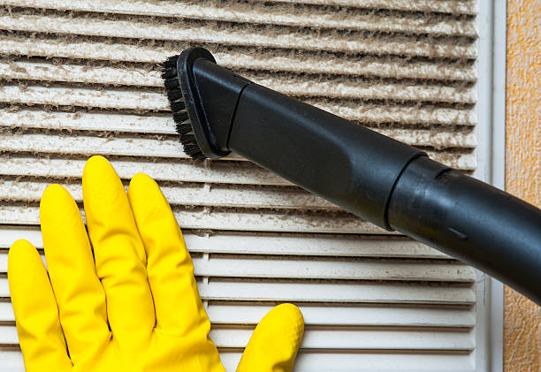 Best Dryer Vent Cleaning Services  in Luray, VA